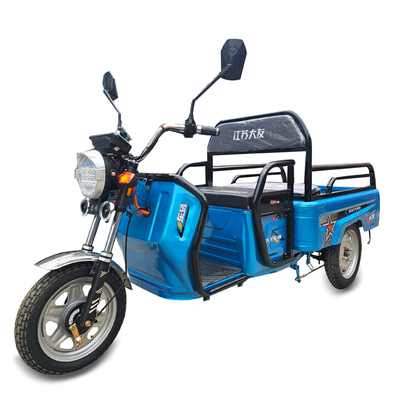 【ML-1000W-TZ11】Cheap electric tricycles for adults in China