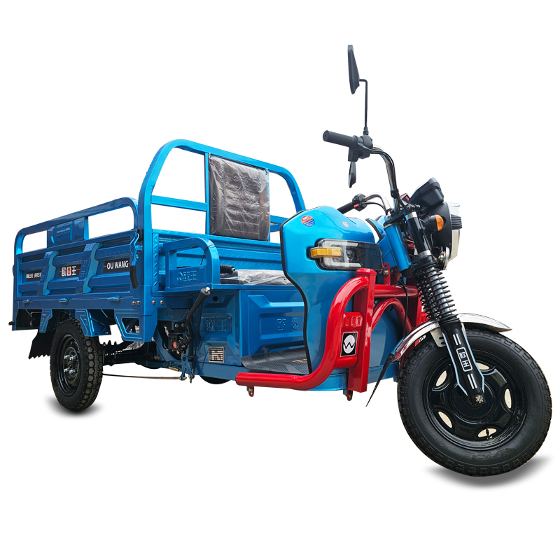 【ML-1000W-GB2】Electric Cargo Tricycle 3 Wheels Electric Bike Near Me Price